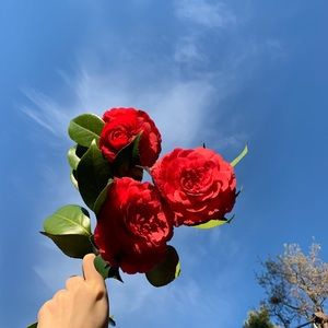 Meet your Posher, Angela